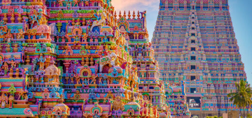 Rundreise Indien: Höhepunkte Südindiens 2026 | Erlebnisrundreisen.de