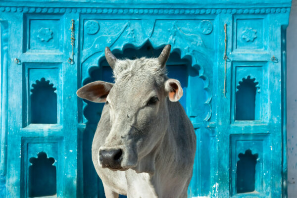 Gruppenreise Indien | Erlebnisrundreisen.de