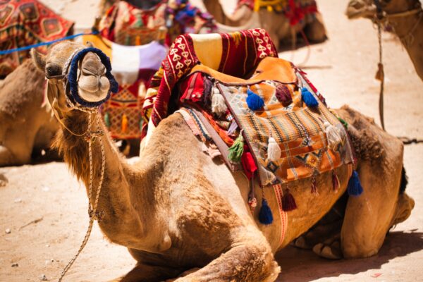 Jordan,Unveiled:,A,Pictorial,Adventure