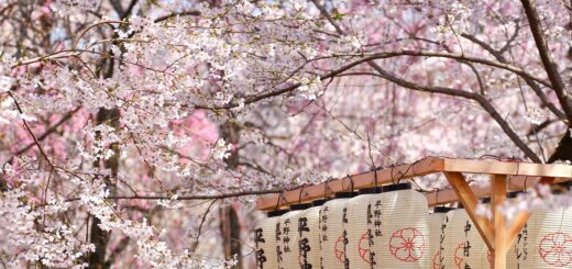 Rundreise Japan: Höhepunkte 2026 | Erlebnisrundreisen.de