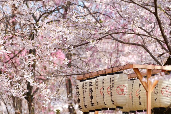 Rundreise Japan: Höhepunkte 2026 | Erlebnisrundreisen.de