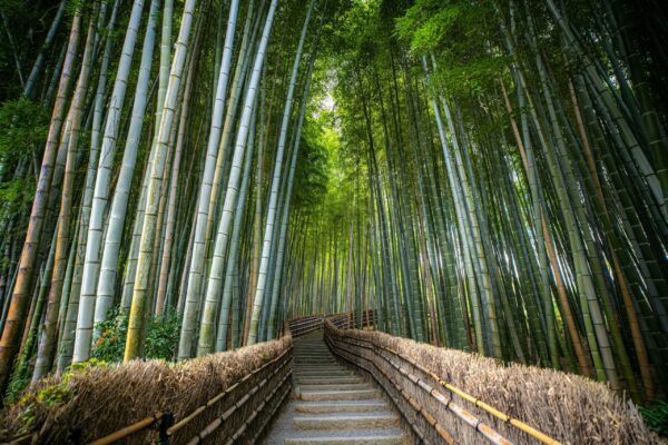 Studienreisen Japan | Erlebnisrundreisen.de