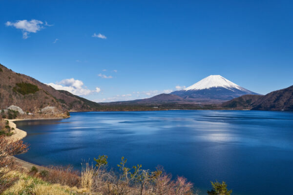 Spring,Of,Mt.fuji,And,The,Lake,Motosuko,Scenery,Of,Yamanashi