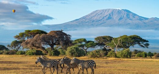 Rundreise Kenia : Höhepunkte 2026 | Erlebnisrundreisen.de