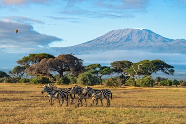 Rundreise Kenia : Höhepunkte 2026 | Erlebnisrundreisen.de