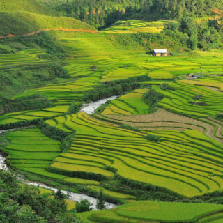 Rundreise Indochina: Die ausführliche Reise 2026 | Erlebnisrundreisen.de