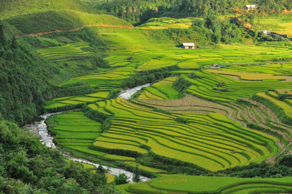 Rundreise Indochina: Die ausführliche Reise 2026 | Erlebnisrundreisen.de