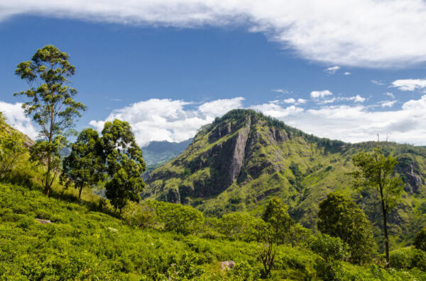Gruppenreise Sri Lanka: Höhepunkte 2026 | Erlebnisrundreisen.de