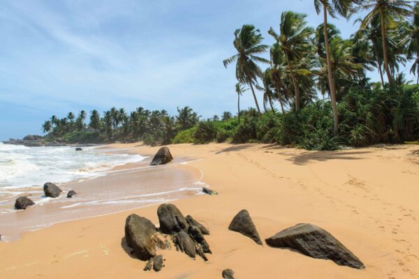 LK-Sri-Lanka-Impressionen-skLKRIMP-6