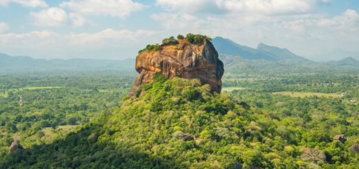 Rundreise Sri Lanka: Impressionen 2026 | Erlebnisrundreisen.de
