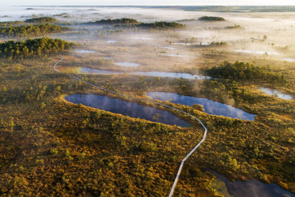 Gruppenreise Baltikum : die ausführliche Reise 2026 | Erlebnisrundreisen.de