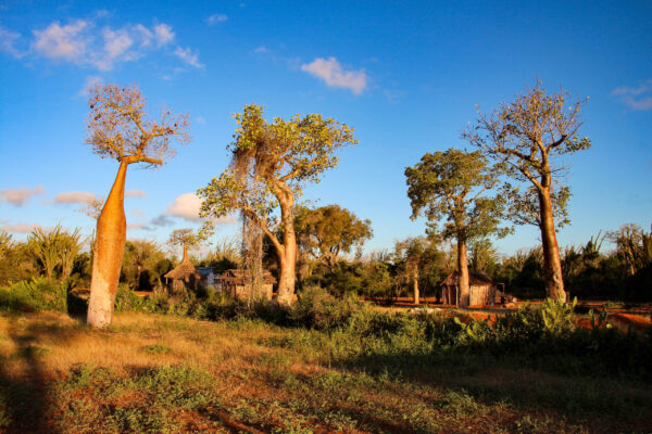 Gruppenreise Madagaskar | Erlebnisrundreisen.de