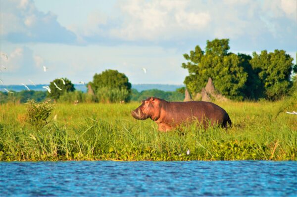 MW-Malawi-Sambia-Hoehepunkte-skMWRHOE-5