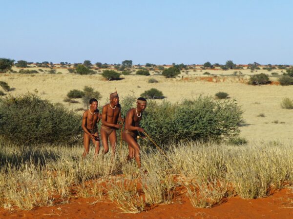 Gruppenreise Namibia & Botswana: Höhepunkte im Norden mit Victoriafällen 2026 | Erlebnisrundreisen.de