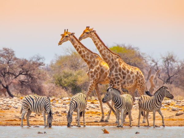 Gruppenreise Namibia | Erlebnisrundreisen.de