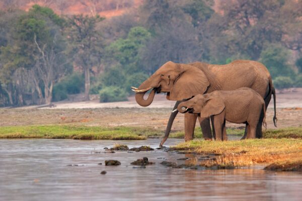 Naturkundliche Reisen Namibia | Erlebnisrundreisen.de