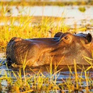 Rundreise Namibia, Botswana & Südafrika: Die ausführliche Reise mit Victoriafällen 2026 | Erlebnisrundreisen.de