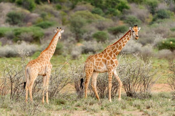 Erlebnis, Abenteuer & Begegnung Namibia | Erlebnisrundreisen.de