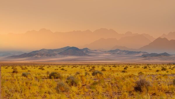 Typical,Landscape,Of,Namibia,Between,Kalahari,And,Namib,Desert,