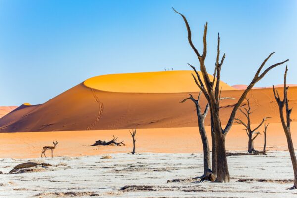 NA-Namibia-Kompakt-erleben-skNARKOM-7