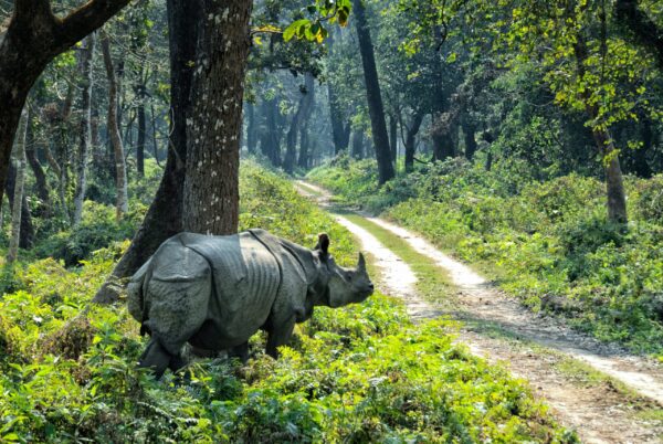 Unterkünfte Nepal | Erlebnisrundreisen.de