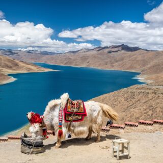 Rundreise Nepal & Tibet: Höhepunkte 2026 | Erlebnisrundreisen.de