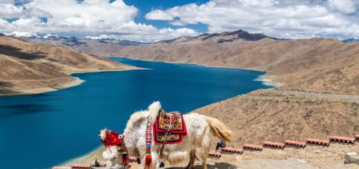 Rundreise Nepal & Tibet: Höhepunkte 2026 | Erlebnisrundreisen.de