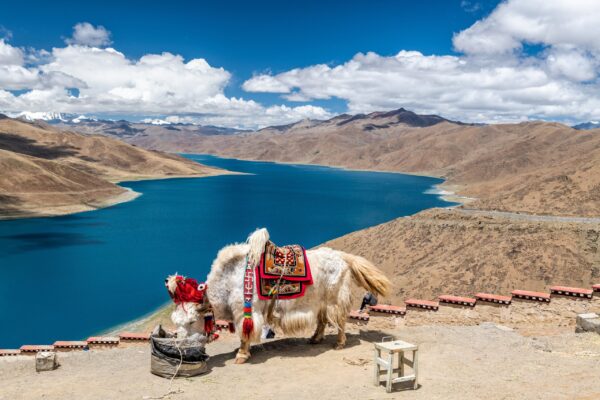 Rundreise Nepal & Tibet: Höhepunkte 2026 | Erlebnisrundreisen.de