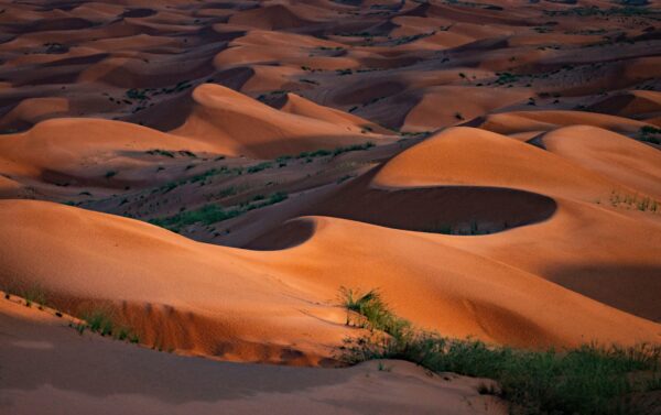 Gruppenreise Oman | Erlebnisrundreisen.de