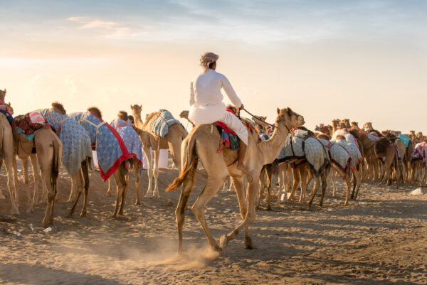 Gruppenreise Oman: Impressionen 2026 | Erlebnisrundreisen.de