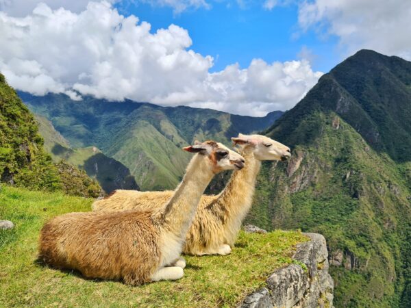 Peru | Erlebnisrundreisen.de