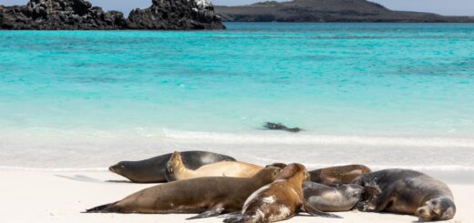 Rundreise Peru & Ecuador: Höhepunkte mit Galapagosinseln 2026 | Erlebnisrundreisen.de