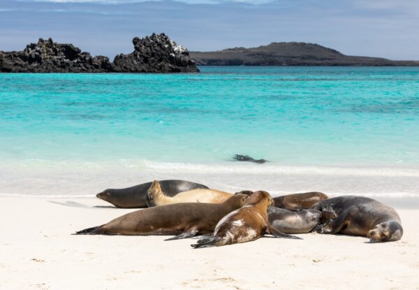 Rundreise Peru & Ecuador: Höhepunkte mit Galapagosinseln 2026 | Erlebnisrundreisen.de