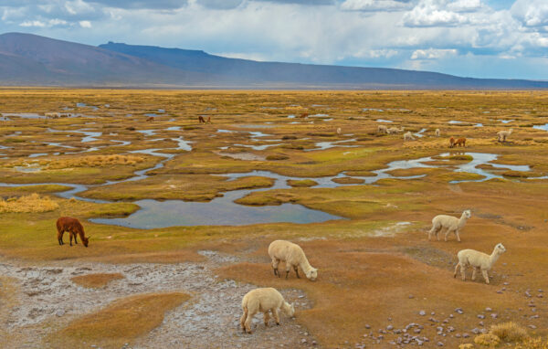 Peru | Erlebnisrundreisen.de