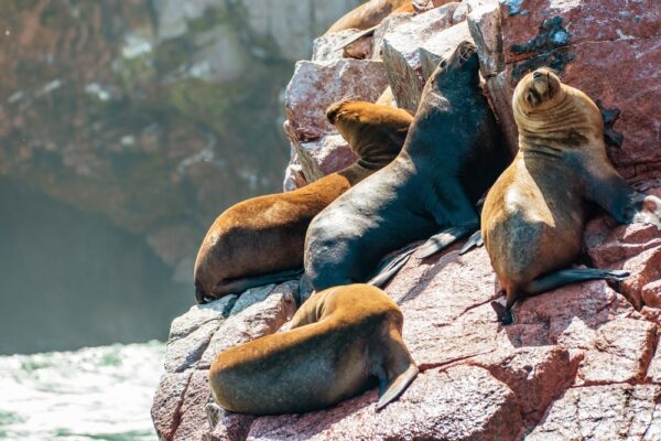 Gruppenreise Peru: Höhepunkte 2026 | Erlebnisrundreisen.de