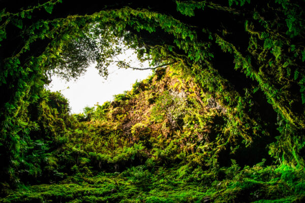 Naturkundliche Reisen Portugal | Erlebnisrundreisen.de