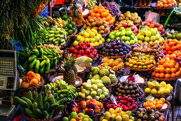 Portugal | Erlebnisrundreisen.de