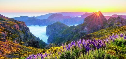 Rundreise Madeira: Höhepunkte mit Flair 2026 | Erlebnisrundreisen.de