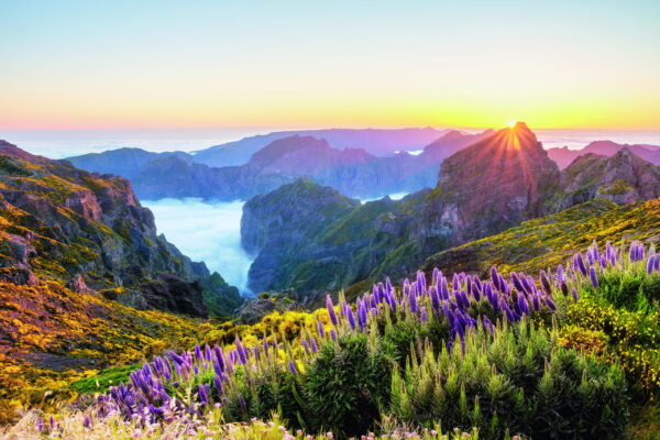 Rundreise Madeira: Höhepunkte mit Flair 2026 | Erlebnisrundreisen.de