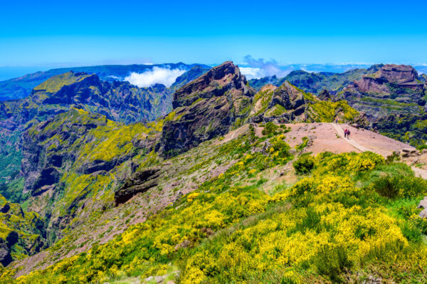 Gruppenreise Madeira: Impressionen 2026 | Erlebnisrundreisen.de