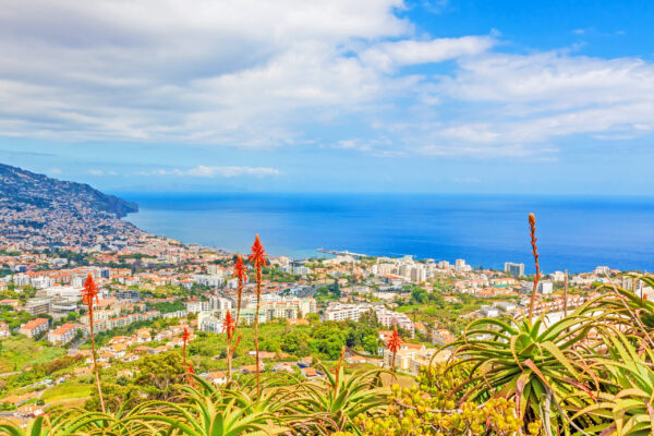 Funchal,,Madeira,-,View,Over,The,Capital,City,Of,The