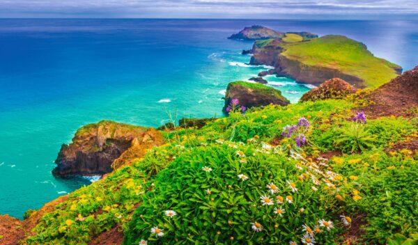 Gruppenreise Madeira: Wandern & Kultur 2026 | Erlebnisrundreisen.de