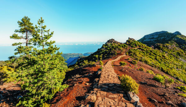 Gruppenreise Madeira: Wandern ab Funchal 2026 | Erlebnisrundreisen.de