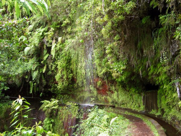 Rundreise Madeira: Wandern 2026 | Erlebnisrundreisen.de