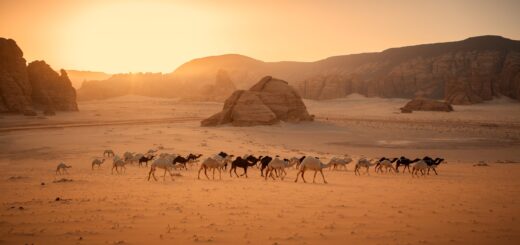 Rundreise Saudi Arabien: Höhepunkte 2026 | Erlebnisrundreisen.de