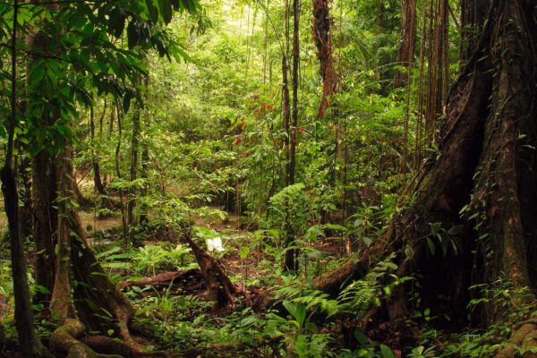 Badeurlaub & Stranderholung Thailand | Erlebnisrundreisen.de