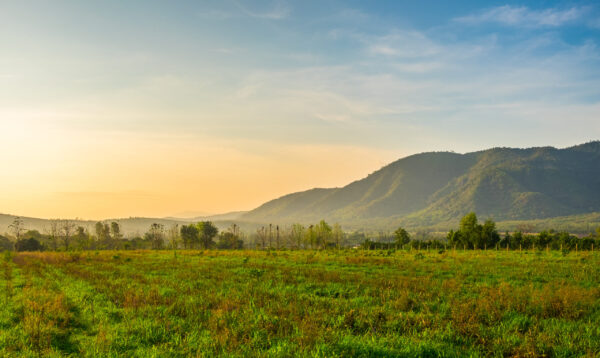 Morning,Mountain,View,In,Khao,Yai,National,Park,,Thailand