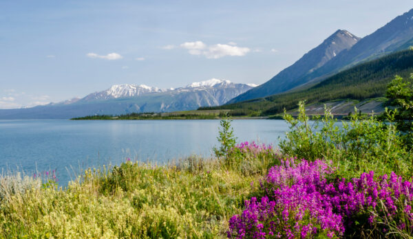 Naturkundliche Reisen USA | Erlebnisrundreisen.de
