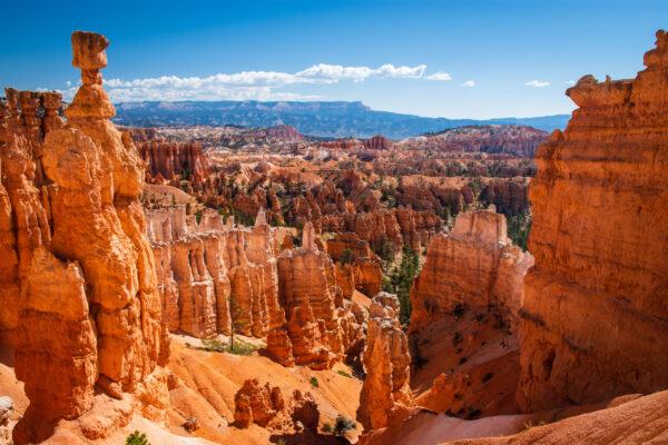 Naturkundliche Reisen USA | Erlebnisrundreisen.de