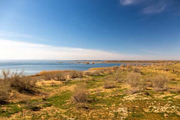 Aydar,Lake,In,Uzbekistan,In,Kyzylkum,Desert